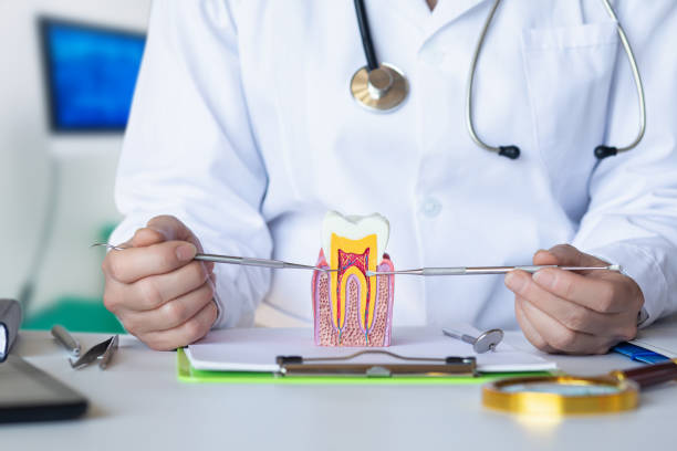 Best Emergency Denture Repair in Water Valley, MS